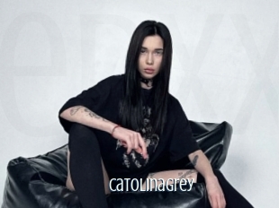 Catolinagrey