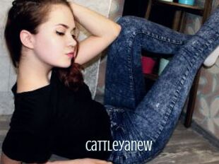 Cattleyanew