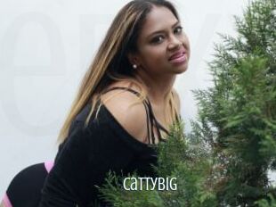 Cattybig