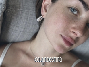 Cclandestina
