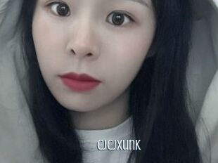 Cjcjxunk