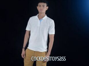 Cockdestroysass