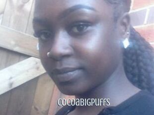 Cocoabigpuffs
