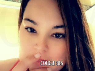 cougar816 Edonkey xxx