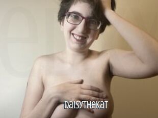 DaisyTheKat
