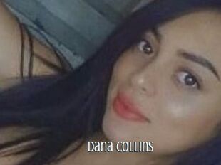 Dana_Collins