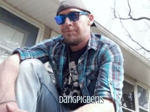 DangPigBenis