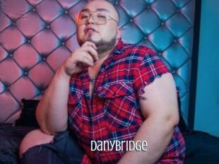 DanyBridge