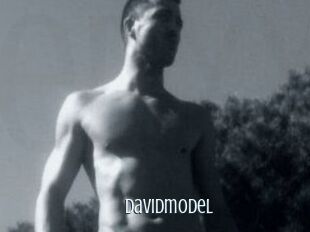 Davidmodel