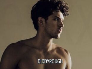 DiddyRough