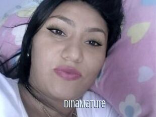 DinaMature