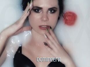 DomineerVi