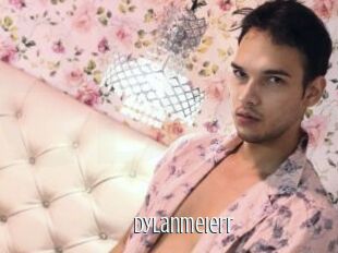 Dylanmeierr