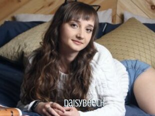 Daisybeech