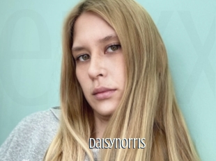 Daisynorris