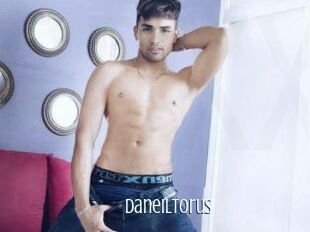 Daneil_torus