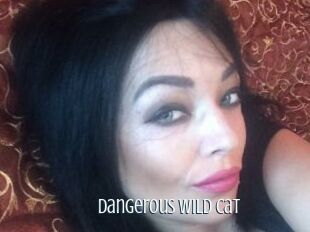 dangerous_wild_cat Edonkey xxx