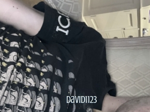 David1123