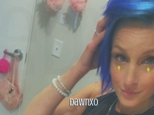 dawnxo Edonkey xxx