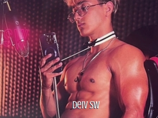 Deiv_sw