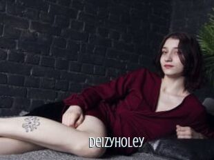 Deizyholey