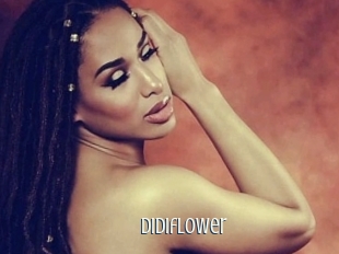 Didiflower