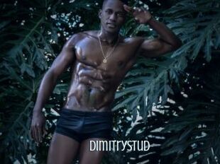 Dimitrystud