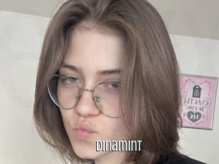 Dinamint
