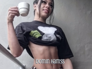 Domin_hamss