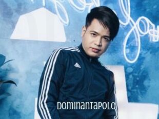 Dominantapolo