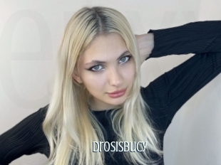 Drosisbucy