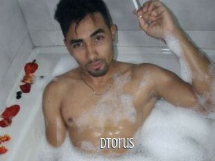 Dtorus