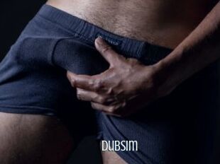 Dubsim