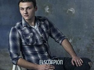 Elscorpion