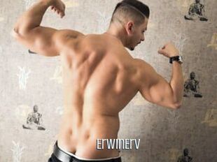 ErwinErv