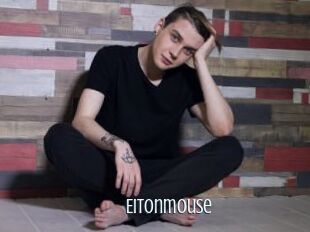 Eitonmouse