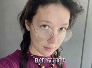 Elenegarfield