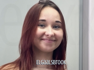 Elgaalsbrook