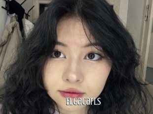 Elgacarls