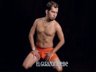 Elguazonbebe
