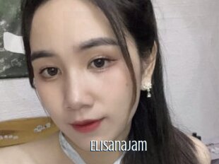 Elisanajam