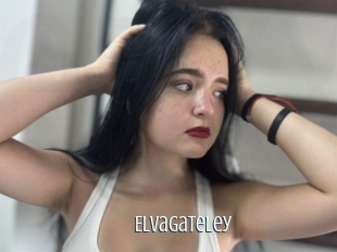 Elvagateley