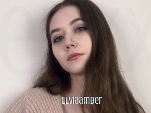 Elviaamber