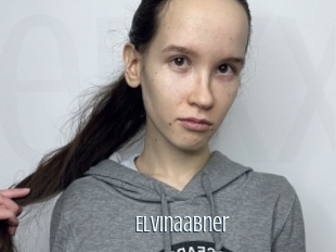 Elvinaabner