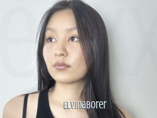 Elvinaborer