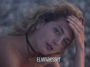 Elvinaesser