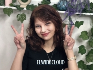 Elwinacloud