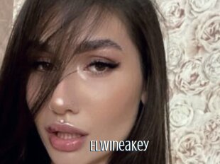 Elwineakey
