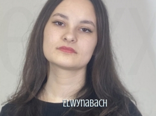 Elwynabach