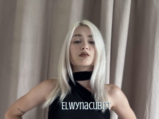 Elwynacubitt